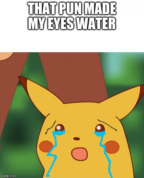 Surprised Pikachu (High Quality) | THAT PUN MADE MY EYES WATER | image tagged in surprised pikachu high quality | made w/ Imgflip meme maker