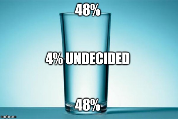 Glass Half Full | 48% 48% 4% UNDECIDED | image tagged in glass half full | made w/ Imgflip meme maker