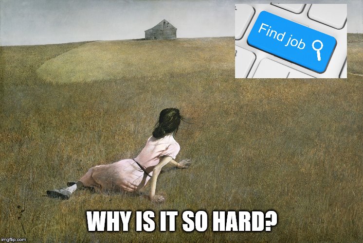 job search | WHY IS IT SO HARD? | image tagged in job | made w/ Imgflip meme maker