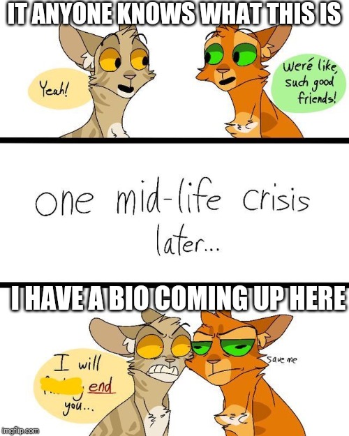 Warriors roleplay |  IT ANYONE KNOWS WHAT THIS IS; I HAVE A BIO COMING UP HERE | image tagged in warrior cats,roleplaying | made w/ Imgflip meme maker