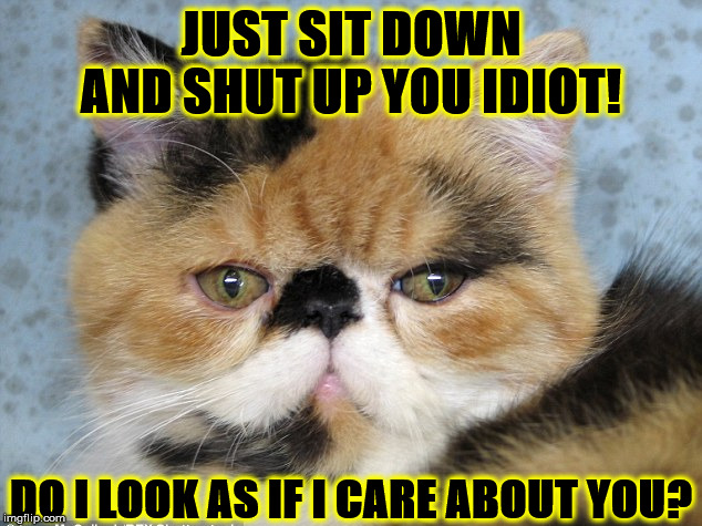 SHUT UP | JUST SIT DOWN AND SHUT UP YOU IDIOT! DO I LOOK AS IF I CARE ABOUT YOU? | image tagged in shut up | made w/ Imgflip meme maker