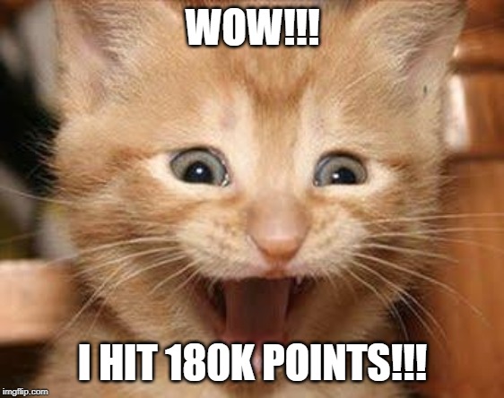Now please upvote this so I get more points ;) | WOW!!! I HIT 180K POINTS!!! | image tagged in memes,excited cat,imgflip,imgflip points,wow | made w/ Imgflip meme maker