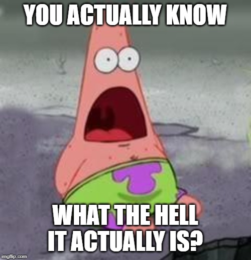 Suprised Patrick | YOU ACTUALLY KNOW WHAT THE HELL IT ACTUALLY IS? | image tagged in suprised patrick | made w/ Imgflip meme maker