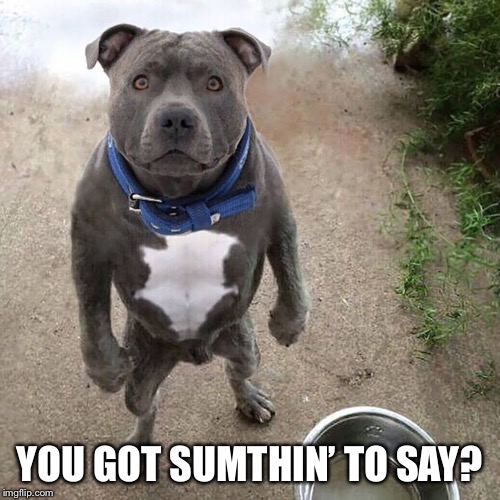 BAD DOG | YOU GOT SUMTHIN’ TO SAY? | image tagged in bad dog | made w/ Imgflip meme maker