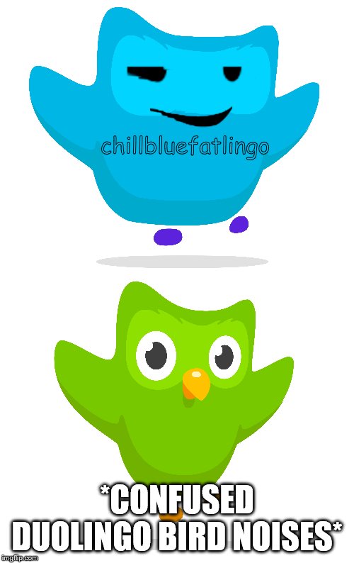duolingo's fear | chillbluefatlingo; *CONFUSED DUOLINGO BIRD NOISES* | image tagged in fun | made w/ Imgflip meme maker