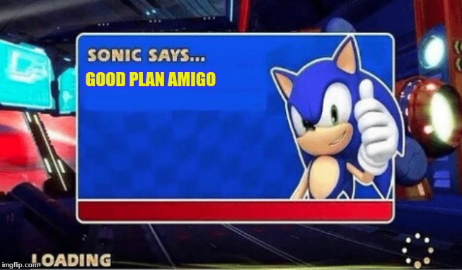 Sonic Says | GOOD PLAN AMIGO | image tagged in sonic says | made w/ Imgflip meme maker