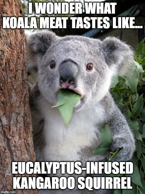 Koala Meat | I WONDER WHAT KOALA MEAT TASTES LIKE... EUCALYPTUS-INFUSED KANGAROO SQUIRREL | image tagged in memes,surprised koala,vegan,peta,koala,hunt | made w/ Imgflip meme maker
