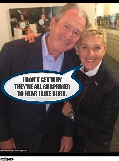 Ellen loves bush | I DON'T GET WHY THEY'RE ALL SURPRISED TO HEAR I LIKE BUSH. | image tagged in ellen loves bush | made w/ Imgflip meme maker