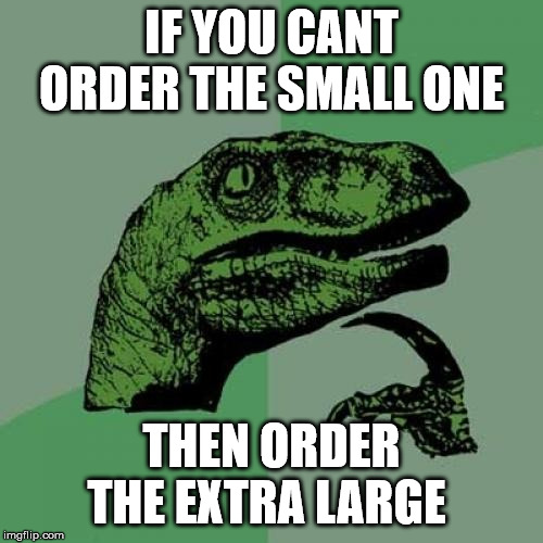 Philosoraptor Meme | IF YOU CANT ORDER THE SMALL ONE; THEN ORDER THE EXTRA LARGE | image tagged in memes,philosoraptor | made w/ Imgflip meme maker
