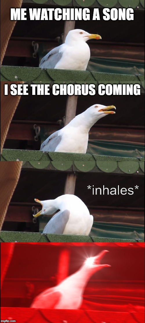 Inhaling Seagull | ME WATCHING A SONG; I SEE THE CHORUS COMING; *inhales* | image tagged in memes,inhaling seagull | made w/ Imgflip meme maker