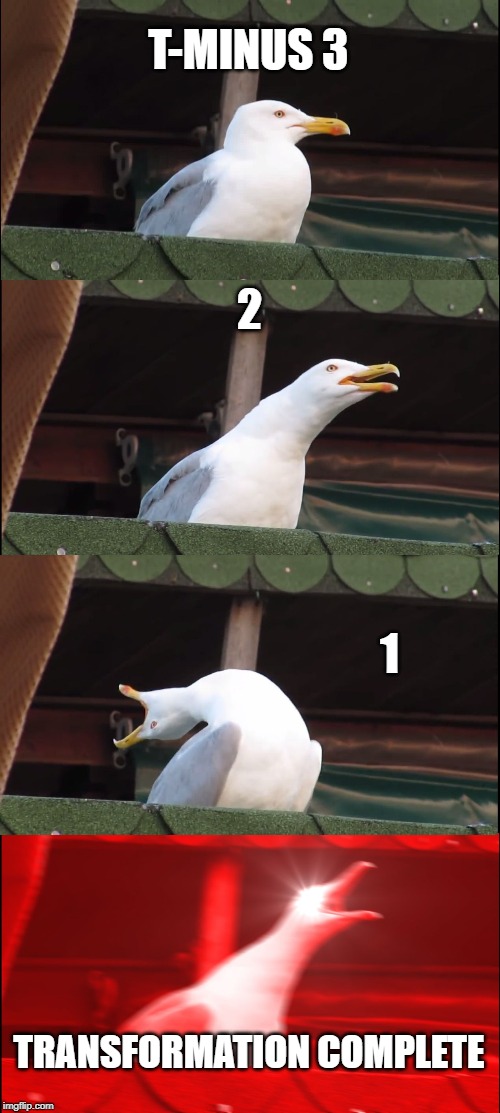 Inhaling Seagull | T-MINUS 3; 2; 1; TRANSFORMATION COMPLETE | image tagged in memes,inhaling seagull | made w/ Imgflip meme maker