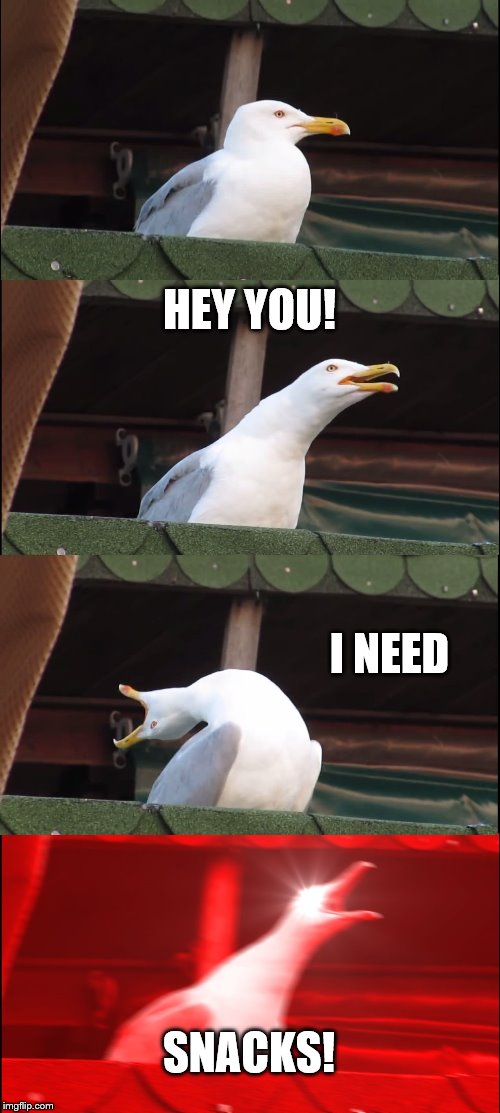 Inhaling Seagull | HEY YOU! I NEED; SNACKS! | image tagged in memes,inhaling seagull | made w/ Imgflip meme maker