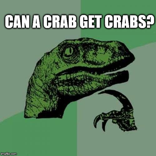 Philosoraptor Meme | CAN A CRAB GET CRABS? | image tagged in memes,philosoraptor,crabs | made w/ Imgflip meme maker