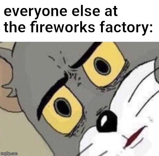 Me: Everyone else: | everyone else at the fireworks factory: | image tagged in me everyone else | made w/ Imgflip meme maker
