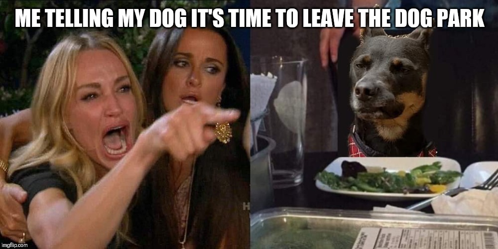 Woman yells at dog | ME TELLING MY DOG IT'S TIME TO LEAVE THE DOG PARK | image tagged in woman yells at dog | made w/ Imgflip meme maker