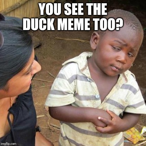 Third World Skeptical Kid Meme | YOU SEE THE DUCK MEME TOO? | image tagged in memes,third world skeptical kid | made w/ Imgflip meme maker