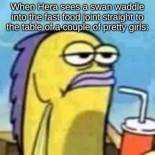 When Hera sees a swan waddle into the fast food joint straight to the table of a couple of pretty girls: | image tagged in memes,greek mythology | made w/ Imgflip meme maker