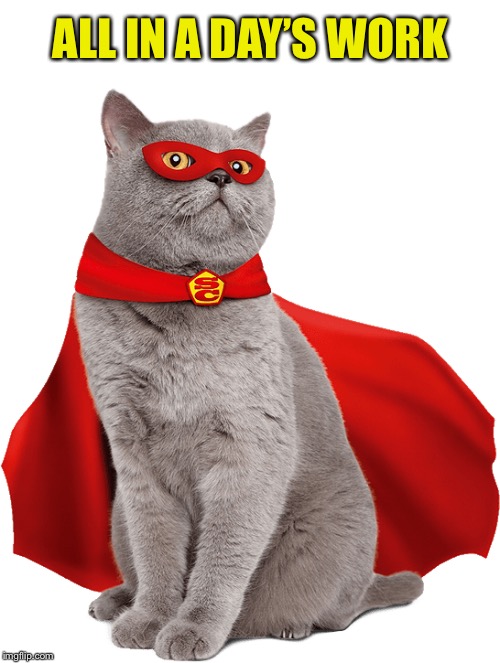 Super cat! | ALL IN A DAY’S WORK | image tagged in super cat | made w/ Imgflip meme maker