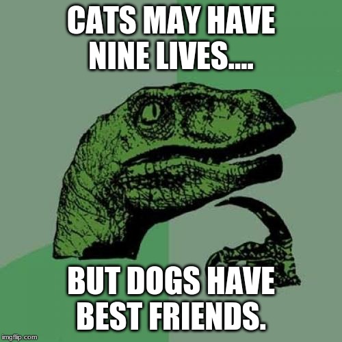 Philosoraptor Meme | CATS MAY HAVE NINE LIVES.... BUT DOGS HAVE BEST FRIENDS. | image tagged in memes,philosoraptor | made w/ Imgflip meme maker