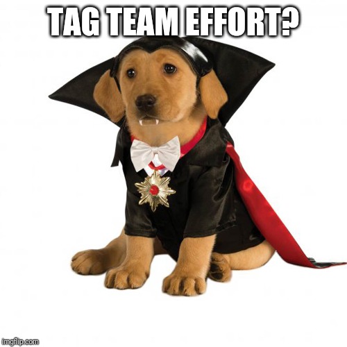 TAG TEAM EFFORT? | made w/ Imgflip meme maker