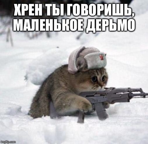 When your hear that German dogs is talking shit about Slav cats | ХРЕН ТЫ ГОВОРИШЬ, МАЛЕНЬКОЕ ДЕРЬМО | image tagged in cute sad soviet war kitten | made w/ Imgflip meme maker