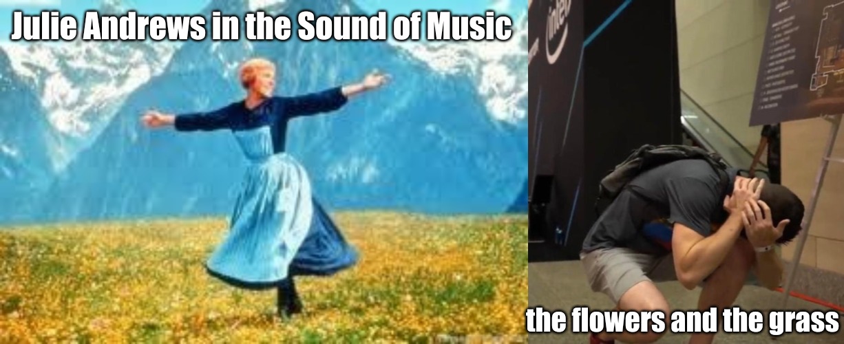 Julie Andrews in the Sound of Music; the flowers and the grass | image tagged in memes,reddit | made w/ Imgflip meme maker