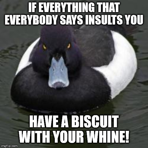 Advice for millennials and other snowflakes | IF EVERYTHING THAT EVERYBODY SAYS INSULTS YOU; HAVE A BISCUIT WITH YOUR WHINE! | image tagged in angry advice mallard | made w/ Imgflip meme maker