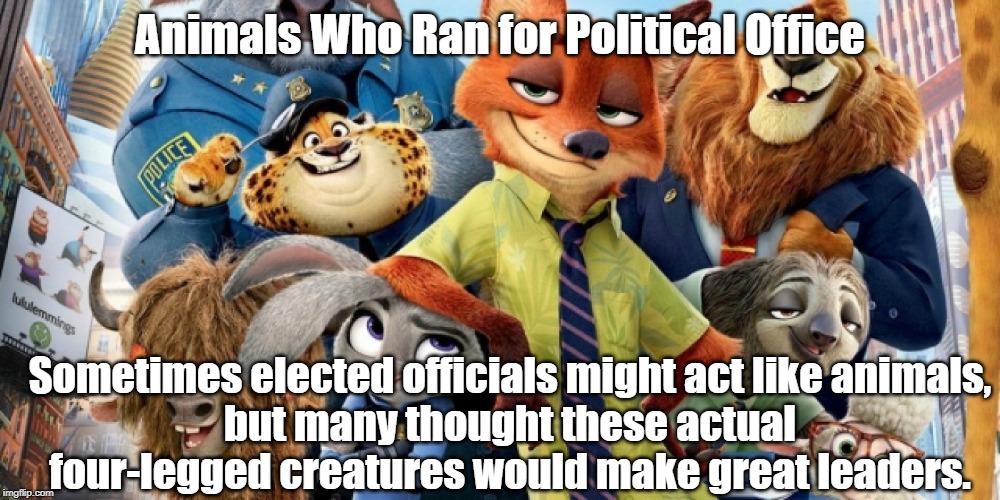 Animals Who Ran for Political Office | Animals Who Ran for Political Office; Sometimes elected officials might act like animals,
but many thought these actual four-legged creatures would make great leaders. | image tagged in politics | made w/ Imgflip meme maker
