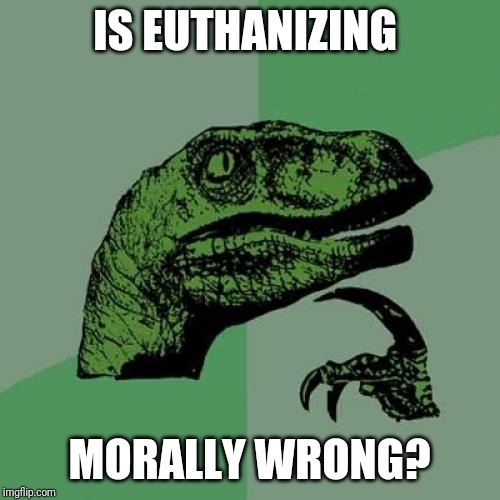 Philosoraptor | IS EUTHANIZING; MORALLY WRONG? | image tagged in memes,philosoraptor | made w/ Imgflip meme maker