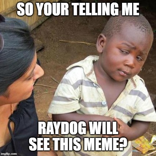 Third World Skeptical Kid | SO YOUR TELLING ME; RAYDOG WILL SEE THIS MEME? | image tagged in memes,third world skeptical kid | made w/ Imgflip meme maker