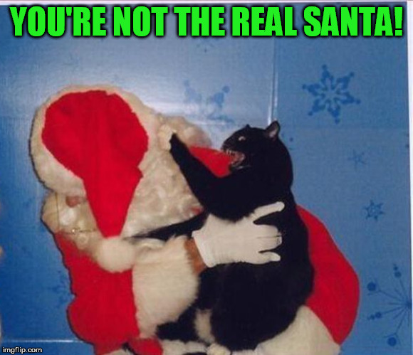 YOU'RE NOT THE REAL SANTA! | made w/ Imgflip meme maker