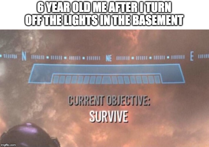Current Objective: Survive | 6 YEAR OLD ME AFTER I TURN OFF THE LIGHTS IN THE BASEMENT | image tagged in current objective survive | made w/ Imgflip meme maker