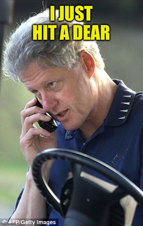 Bill Clinton Phone | I JUST HIT A DEAR | image tagged in bill clinton phone | made w/ Imgflip meme maker