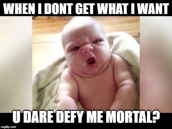 WHEN I DONT GET WHAT I WANT; U DARE DEFY ME MORTAL? | image tagged in funny | made w/ Imgflip meme maker