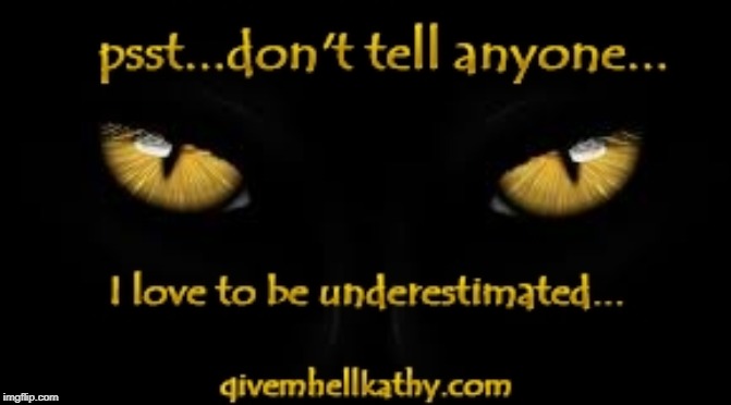 psst...don't tell anyone I love to be underestimated GivemHellKathy.com | image tagged in oklahoma,supreme court,court,corruption | made w/ Imgflip meme maker