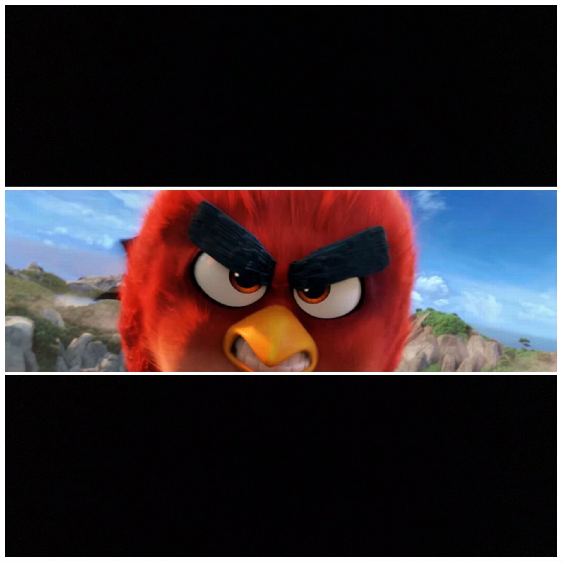 Angry bird love everybody Blank Meme Template
