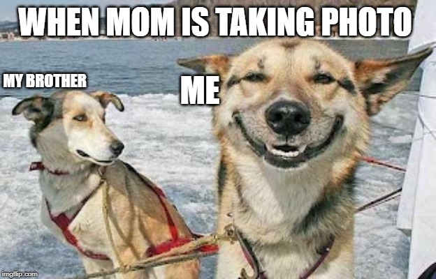 Original Stoner Dog Meme | WHEN MOM IS TAKING PHOTO; MY BROTHER; ME | image tagged in memes,original stoner dog | made w/ Imgflip meme maker
