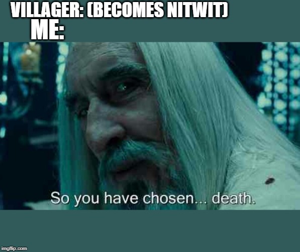 So you have chosen death | VILLAGER: (BECOMES NITWIT); ME: | image tagged in so you have chosen death | made w/ Imgflip meme maker