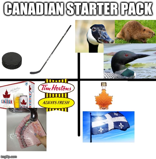Canadian Starter pack | CANADIAN STARTER PACK | image tagged in memes,blank starter pack,canada | made w/ Imgflip meme maker