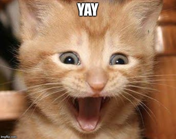 Excited Cat Meme | YAY | image tagged in memes,excited cat | made w/ Imgflip meme maker