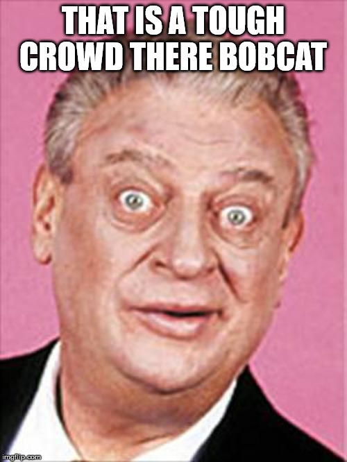 rodney dangerfield | THAT IS A TOUGH CROWD THERE BOBCAT | image tagged in rodney dangerfield | made w/ Imgflip meme maker