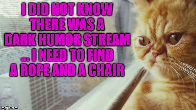 I finally realized this stream was here, goodbye cruel world. | I DID NOT KNOW THERE WAS A DARK HUMOR STREAM ... I NEED TO FIND A ROPE AND A CHAIR | image tagged in who knew,dark humor | made w/ Imgflip meme maker