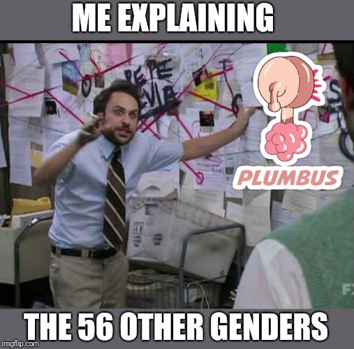 Trying to explain | ME EXPLAINING; THE 56 OTHER GENDERS | image tagged in trying to explain | made w/ Imgflip meme maker