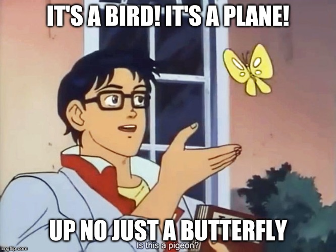 ANIME BUTTERFLY MEME | IT'S A BIRD! IT'S A PLANE! UP NO JUST A BUTTERFLY | image tagged in anime butterfly meme | made w/ Imgflip meme maker