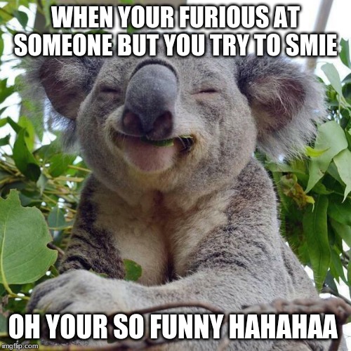 Smiling Koala | WHEN YOUR FURIOUS AT SOMEONE BUT YOU TRY TO SMIE; OH YOUR SO FUNNY HAHAHAA | image tagged in smiling koala | made w/ Imgflip meme maker