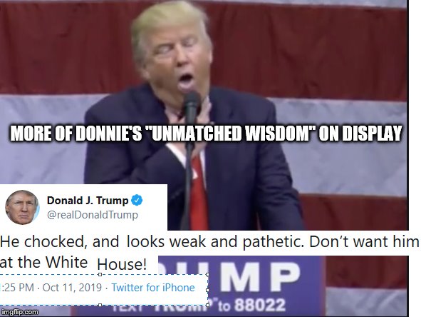 Trump Chocked | MORE OF DONNIE'S "UNMATCHED WISDOM" ON DISPLAY | image tagged in trump chocked | made w/ Imgflip meme maker
