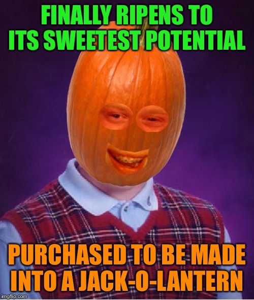 Bad Luck Pumpkin - It could have been so many other tasty things! | FINALLY RIPENS TO ITS SWEETEST POTENTIAL; PURCHASED TO BE MADE INTO A JACK-O-LANTERN | image tagged in bad luck pumpkin,memes,funny,bad luck brian,halloween,jack-o-lanterns | made w/ Imgflip meme maker