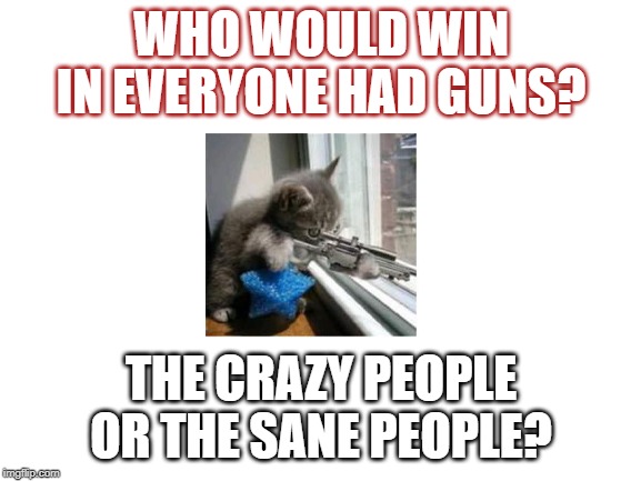 Blank White Template | WHO WOULD WIN IN EVERYONE HAD GUNS? THE CRAZY PEOPLE OR THE SANE PEOPLE? | image tagged in blank white template | made w/ Imgflip meme maker