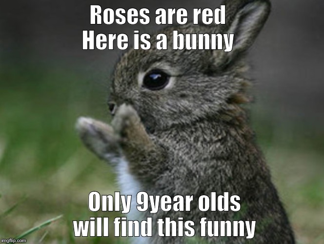Roses are red
Here is a bunny; Only 9year olds will find this funny | image tagged in cute,funny,9year olds,bunnies | made w/ Imgflip meme maker