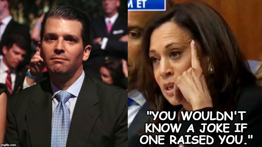 "YOU WOULDN'T KNOW A JOKE IF ONE RAISED YOU." | image tagged in kamala harris - the toughest prosecutor in the senate,donald trump jr,joke | made w/ Imgflip meme maker